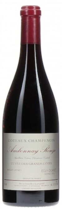 Egly Ouriet Coteaux Champenois Pinot Noir 2019 750ml