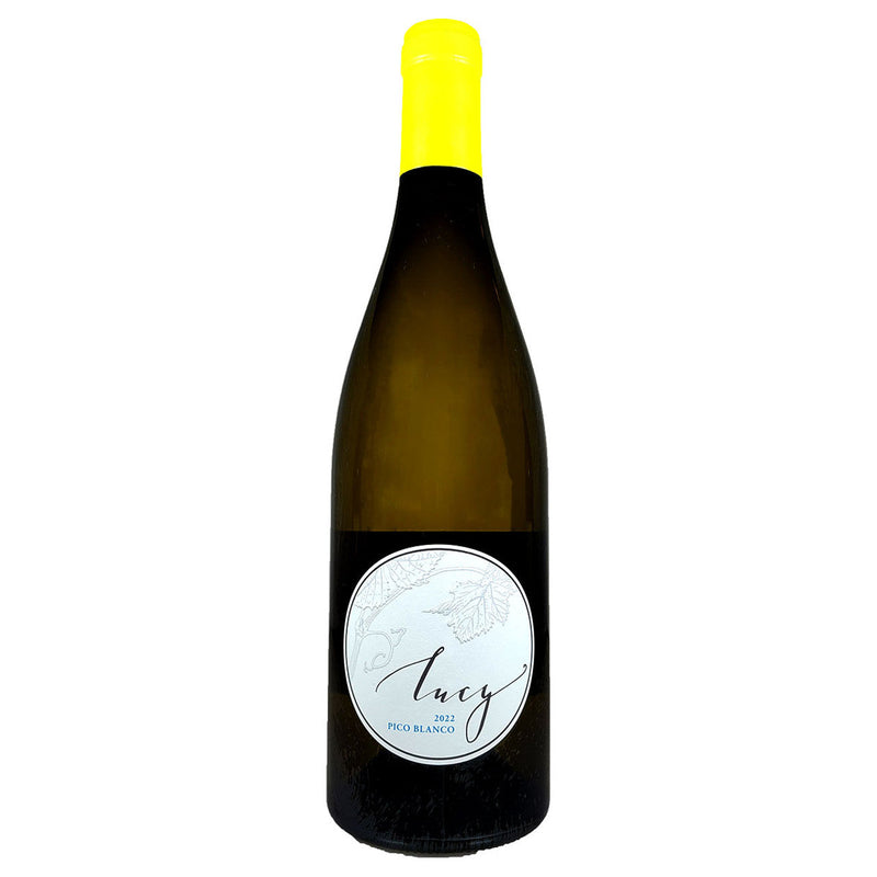 Lucy Pisoni Monterey County Pico Blanco 2022 750ml