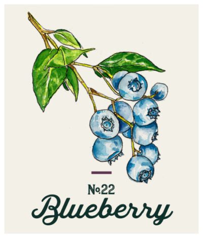 Blended Family No. 22 Blueberry Liqueur 750 ML