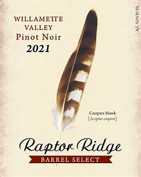 Raptor Ridge Pinot Noir 2021 375 ML