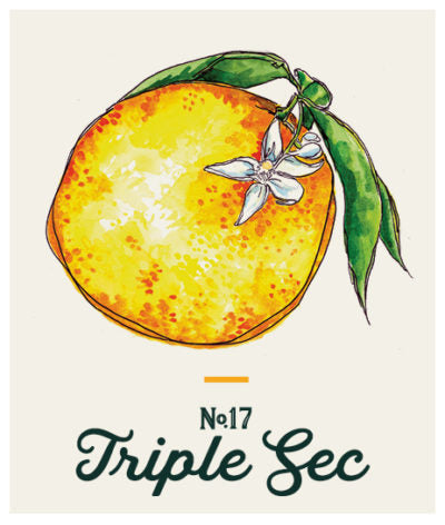 Blended Family No. 17 Triple Sec Liqueur 750 ML