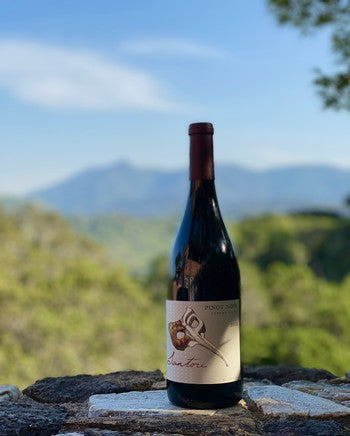 Santori Pinot Noir Carneros 2020 750ml